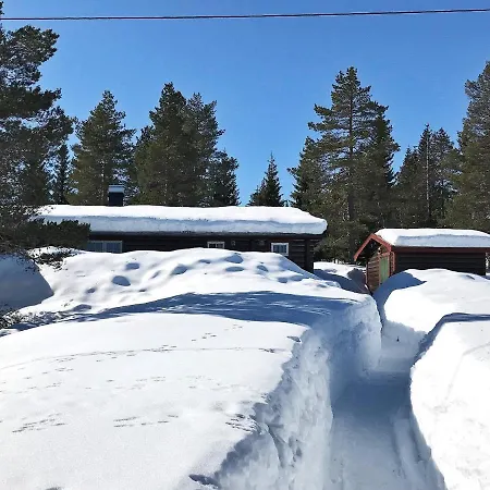 Holiday Lampeland